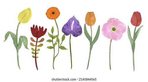 Set of Separate parts and bring together to beautiful bouquet of flowers in water colors style on white background, flat vector illustration