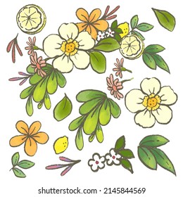 Conjunto de partes separadas y juntar a un hermoso ramo de flores en color agua estilo sobre fondo blanco, ilustración vectorial plana