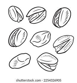 Set of separate realistic pistachios nuts in black isolated on white background. Hand drawn vector sketch illustration in outline vintage engraved style. Salty delicious organic food nutshells, peeled