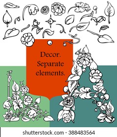 Set of separate vegetable decorative elements of an ornament. Vintage.