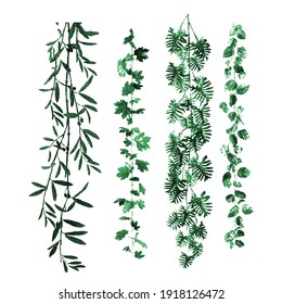 para una serie de viñas verdes