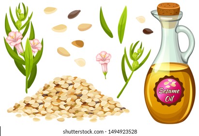 Set sesame oil, seed, flower and leaf. Isolated vector illustration on white background.