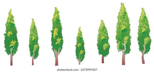 Set of seven beautiful poplar trees in cartoon style isolated on white background. Vector illustration for design elements.