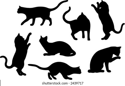 Set Seven Cat Vector Silhouette Stock Vector (Royalty Free) 2439717