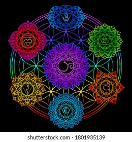 Set of seven chakras, flower of life. Tantric hinduism buddhism vajrayana meditation