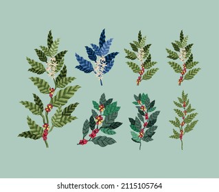 set of seven coffee plants items