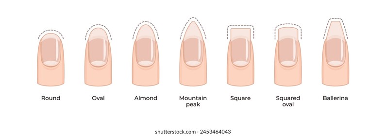 A set of seven different nail shapes, each with a unique design. The shapes range from square to oval, and they are all arranged in a row. 