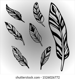 Set of seven feathers, pure vector.