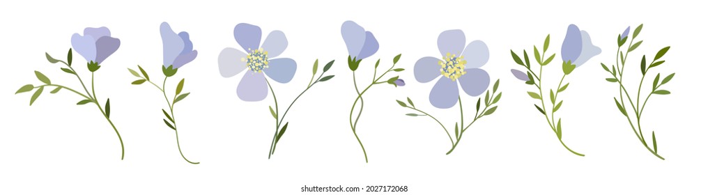 Set of seven flax flowers. Vector floral elements. 