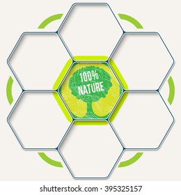Set of seven hexagons for your text and tree symbol