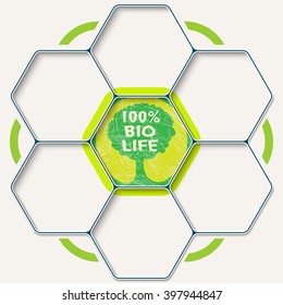 Set of seven hexagons for your text and bio symbol