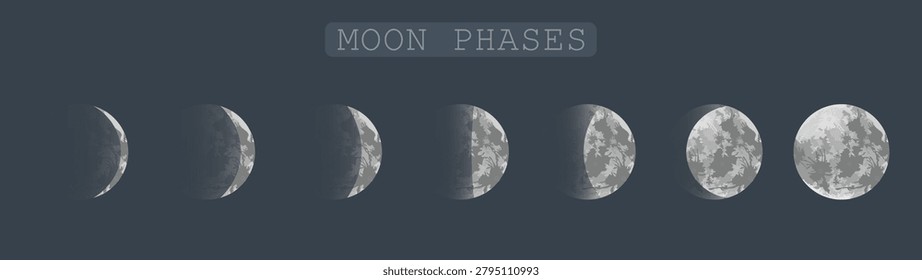 Set of seven moon phases infographic showing the lunar cycle from waxing crescent to full moon on a dark background with astronomy crescent astrological.