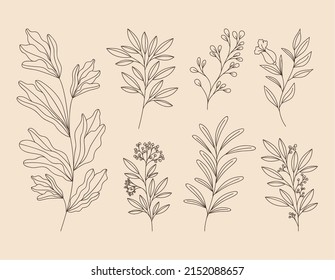 conjunto de siete flores de plantas
