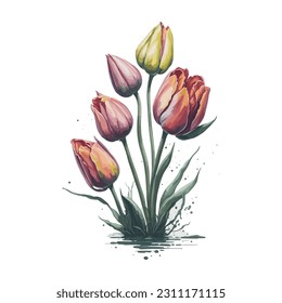 A set of seven stunning, hand-painted tulip flowers in a vector format. Perfect for adding a touch of spring and nature to your designs. Ideal for various projects, from greeting cards to invitations.