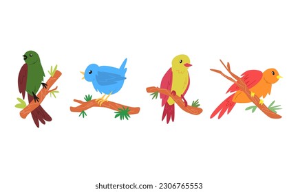 set of several cartoon birds with different colors, poses, types perched on a tree branch. suitable for children's book illustration, print, poster, sticker. cartoon flat vector illustration.