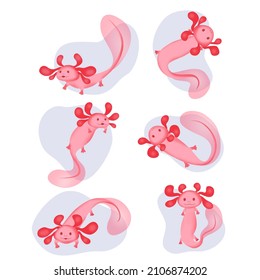 A set of several cute pink axolotls floating in water drops. Vector illustration of a rare amphibian creature.