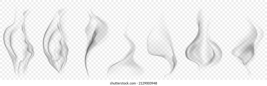 Set of several realistic transparent gray smokes or steam, for use on light background. Transparency only in vector format