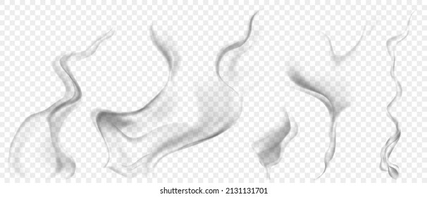 Set of several realistic transparent gray smokes or steam, for use on light background. Transparency only in vector format