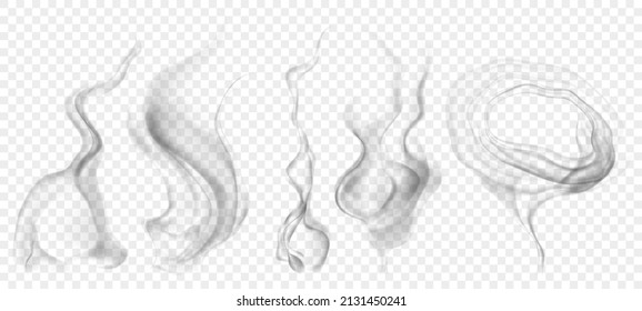 Set of several realistic transparent gray smokes or steam, for use on light background. Transparency only in vector format