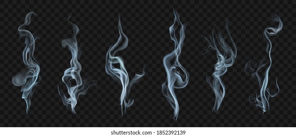 Set Several Realistic Transparent Smoke Steam Stock Vector (Royalty ...