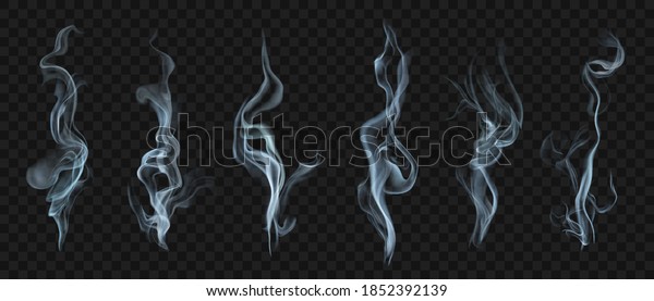 Set Several Realistic Transparent Smoke Steam Stock Vector (Royalty ...