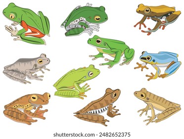 set of several species of frogs vector illustration isolated on white background 1