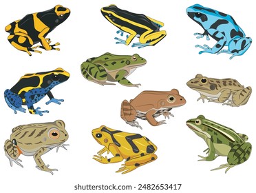 set of several species of frogs vector illustration isolated on white background 3