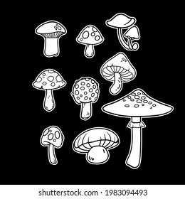 a set of several white images of different mushrooms on a black background