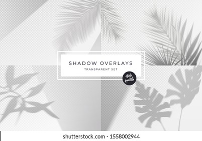 Set of shadow background overlays. Realistic Shadow mock up scenes. Transparent shadow of tropical leaves. Vector illustration - Shutterstock ID 1558002944