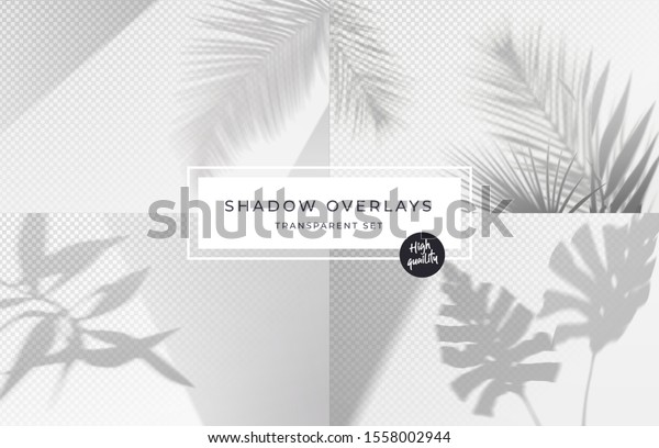 Download Set Shadow Background Overlays Realistic Shadow Stock Vector Royalty Free 1558002944