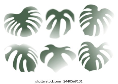 Set of shadow effect green from monstera leaves, in natural light. Realistic illustration on a white background. Vector.