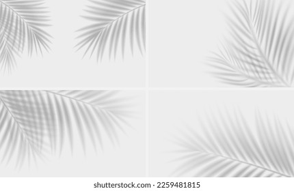 Set of shadow overlay effects. Tropical leaf soft shadow. Natural light scene, vector illustration.