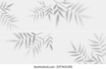 Conjunto de efectos de superposición de sombra. Sombra suave de la hoja tropical. Escena de luz natural, ilustración vectorial
