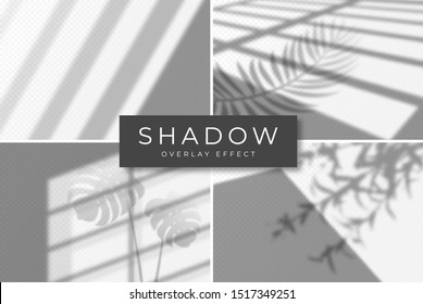 Set of shadow overlay effects. Vector shadow and light overlay effect, natural lighting scene. Mockup of transparent shadow from window, monstera leaves and plants. Realistic light refraction