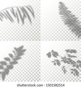 Set of Shadow Overlay Plant Vector Mockup. The transparent Shadows overlay effects Of Tropical Leaf in a modern minimalist style. For presentation Flyer, Poster, blank, logo, invitation