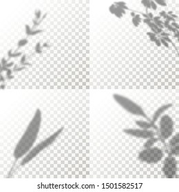 Set of Shadow Overlay Plant Vector Mockup. The transparent Shadows overlay effects Of Leaf in a modern minimalist style. For presentation Flyer, Poster, blank, logo, invitation