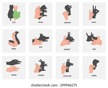 Set of shadows of the animals on a white background. Halloween