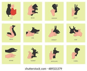 Set of shadows of the animals on a white background. Halloween