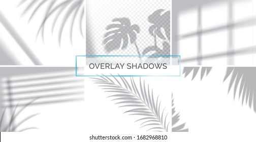Set of shadows, overlay effects mock up, window frame and leaf of plants, natural interior light, vector illustration
