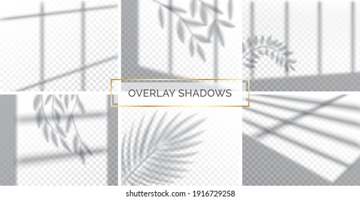 Set of shadows, overlay effects mock up, window frame with curtains and leaf of plants, natural interior light, vector illustration