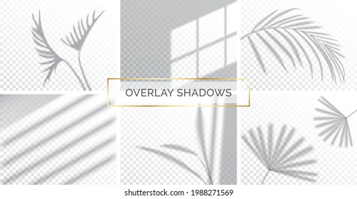 Set of shadows, overlay effects mock up, window frame and leaf of plants, natural light, vector illustration.