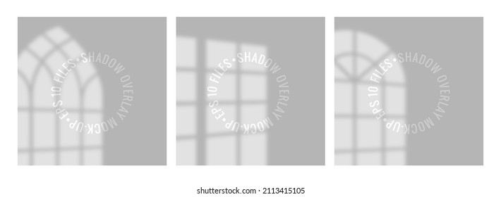 Set of shadows overlay effects mock up with window frame. Square paper mockup with realistic shadows overlays leaves on beige background.