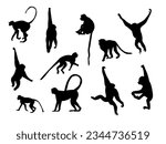 set of shadows, silhouettes of monkeys.