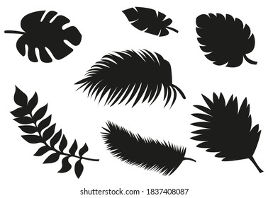 Set of shape tropical leafs in white background. Vetor illustrations on white background.