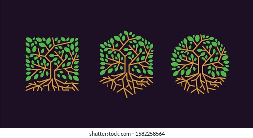 Set Of Shaped Tree Root Logo Icon