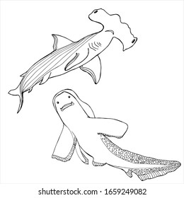 Set shark. Coloring book. Hand drawing coloring book for children and adults. Beautiful drawings with patterns and small details.