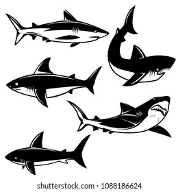 Set of shark illustrations on white background. Design element for logo, label, emblem, sign. Vector image