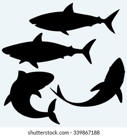 Set shark. Isolated on blue background. Vector silhouettes