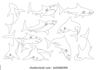 Set of shark with mouth closed in different poses Shark with mouth closed giant apex predator outline style cartoon animal design flat vector illustration isolated on white background