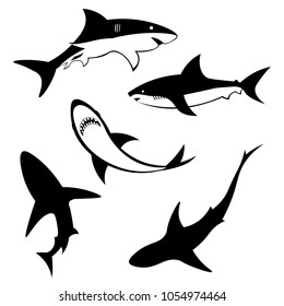 Set of Shark. Ocean fish. Vector illustration